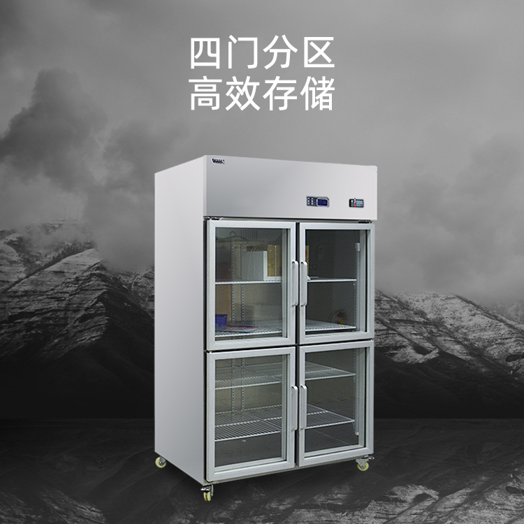 91视频APP成人 1000L玻璃門(圖1)